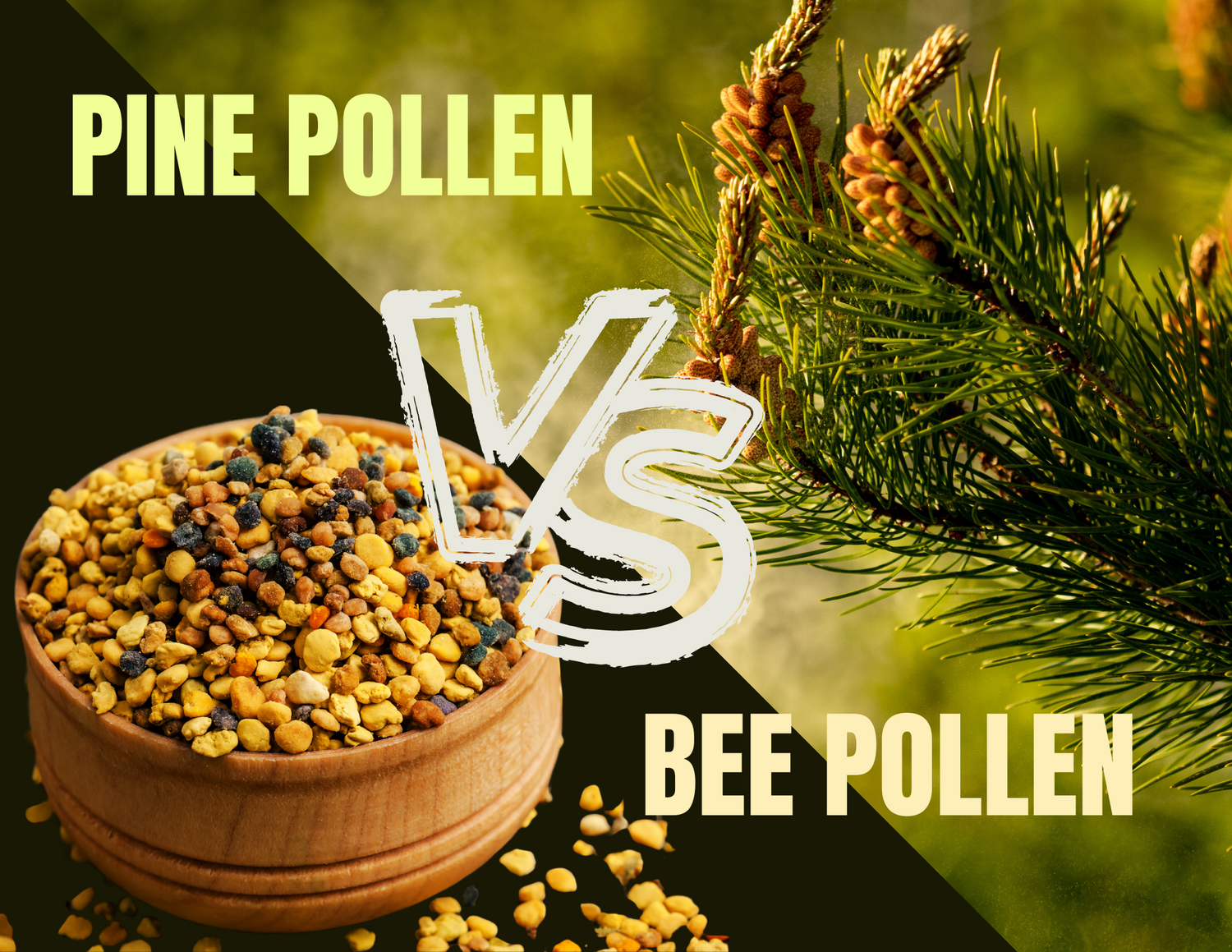 Pine pollen vs bee pollen