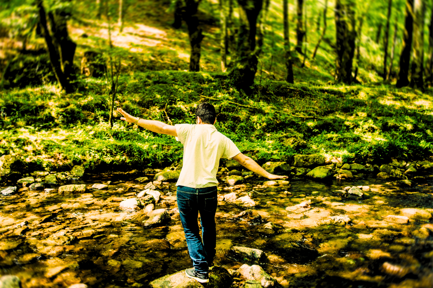 Man in forest balancing on rocks