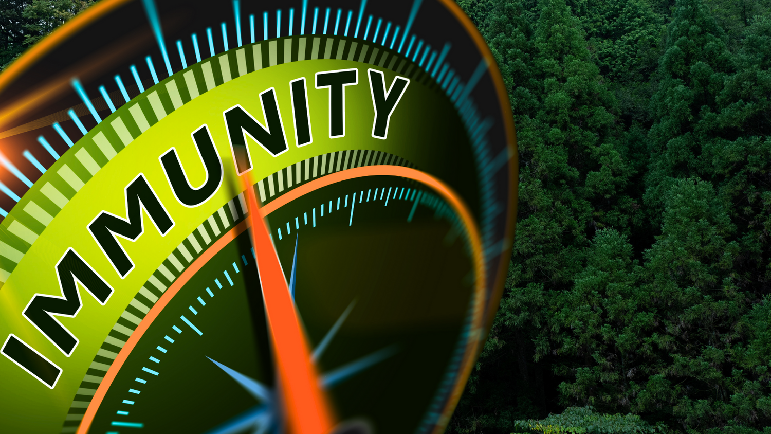 Immunity meter with forest background