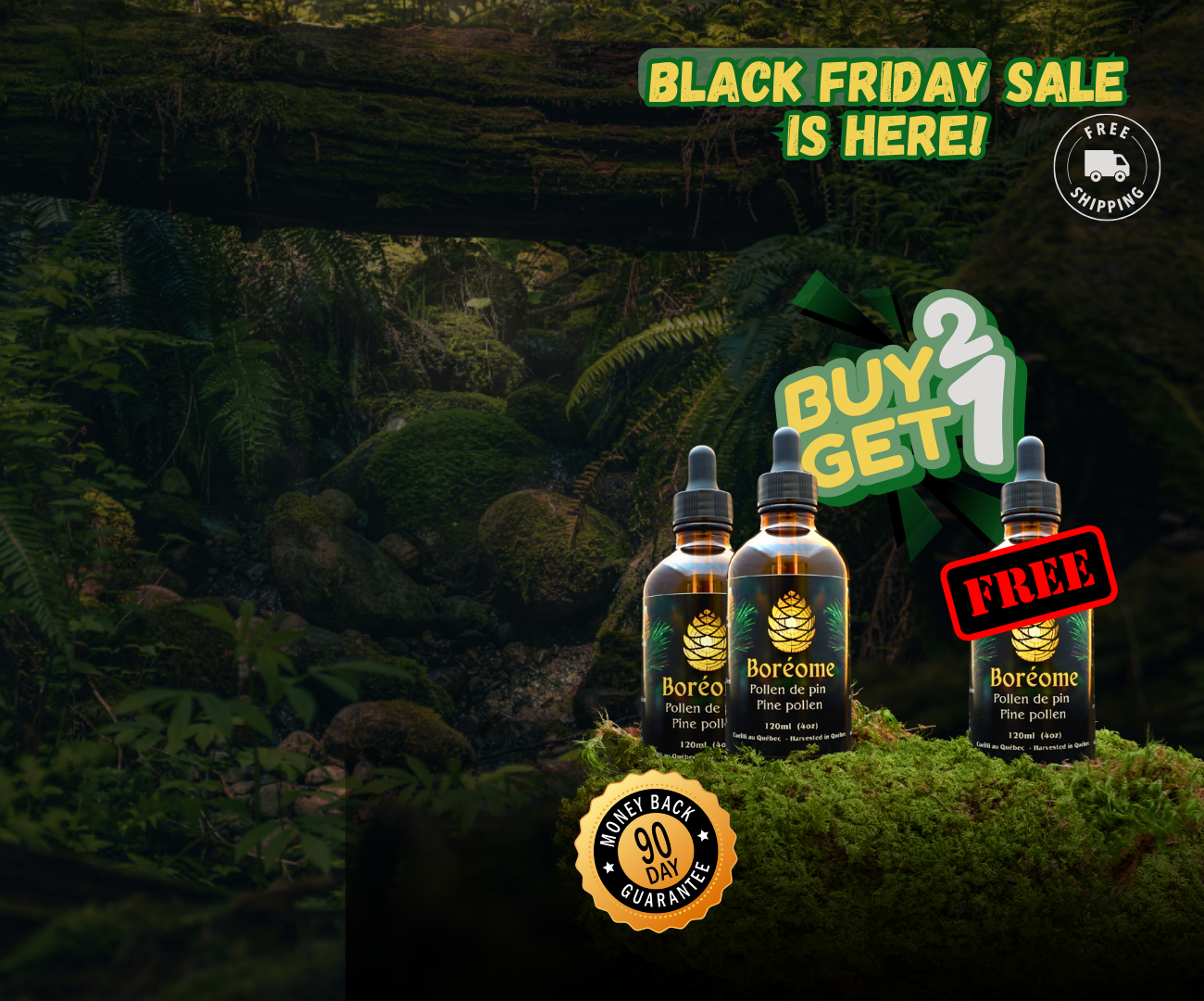 Pine pollen extract sitting on moss hero image