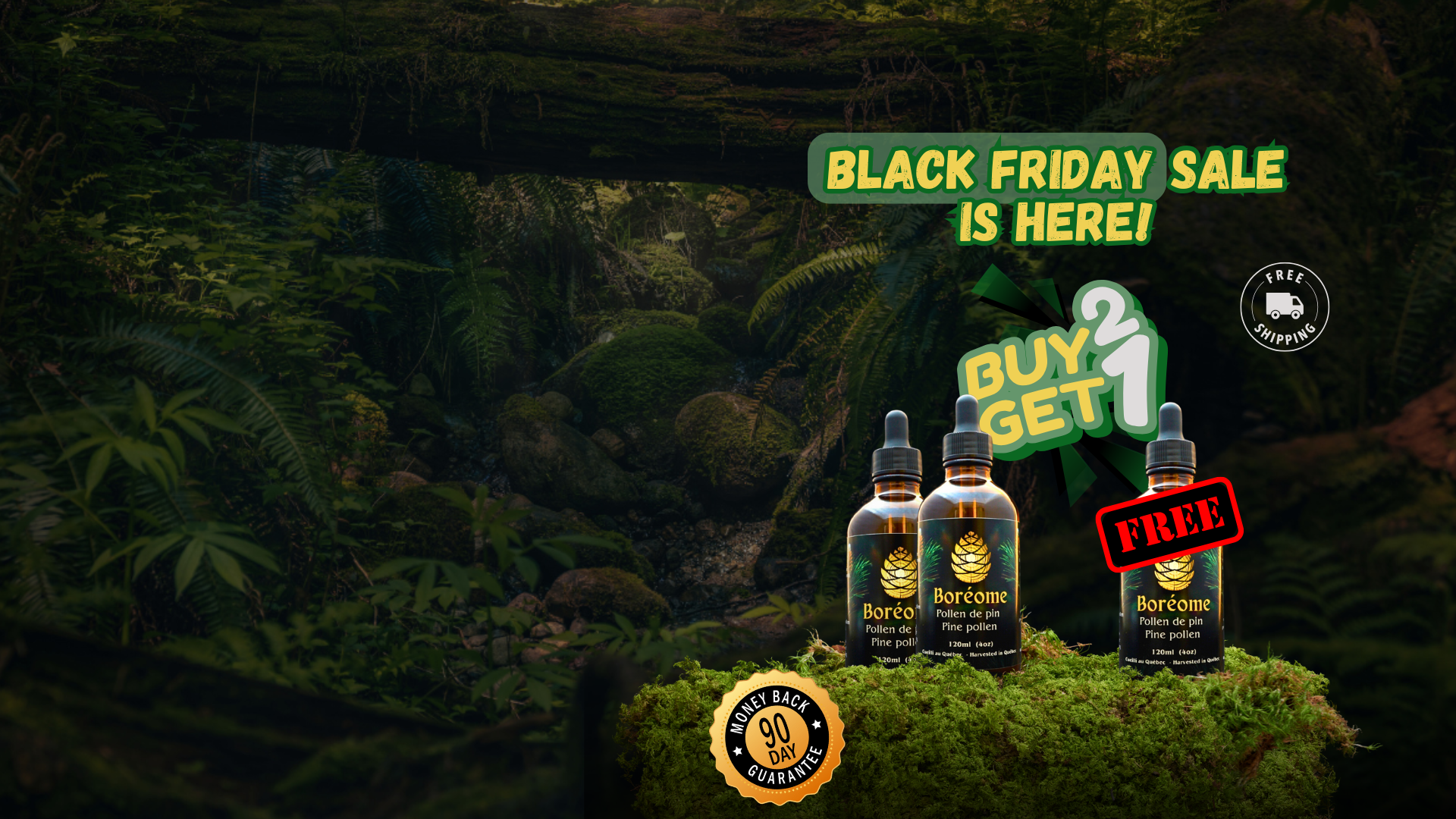 Pine pollen extract sitting on moss hero image