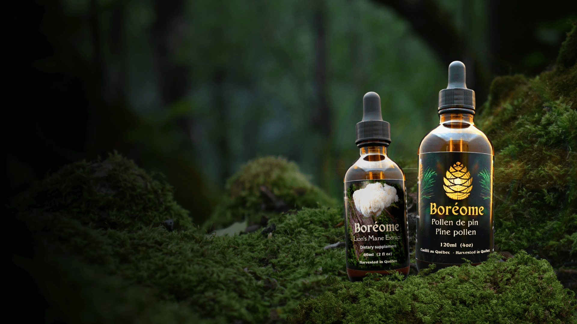 Pine pollen extract sitting on moss hero image