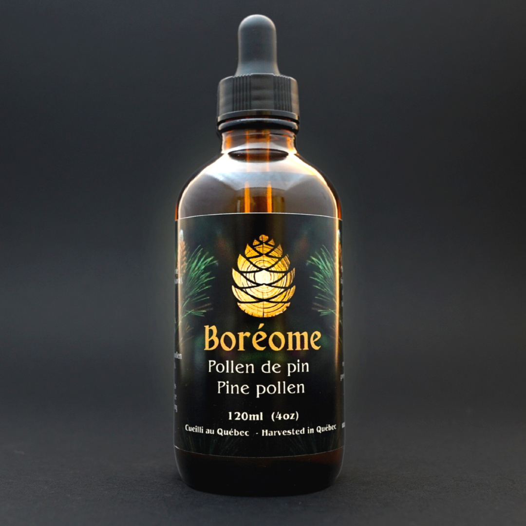 Premium Canadian made pine Pollen Tincture Bottle - Natural Hormone Support | Forest Harvested | Organic Ingredients
