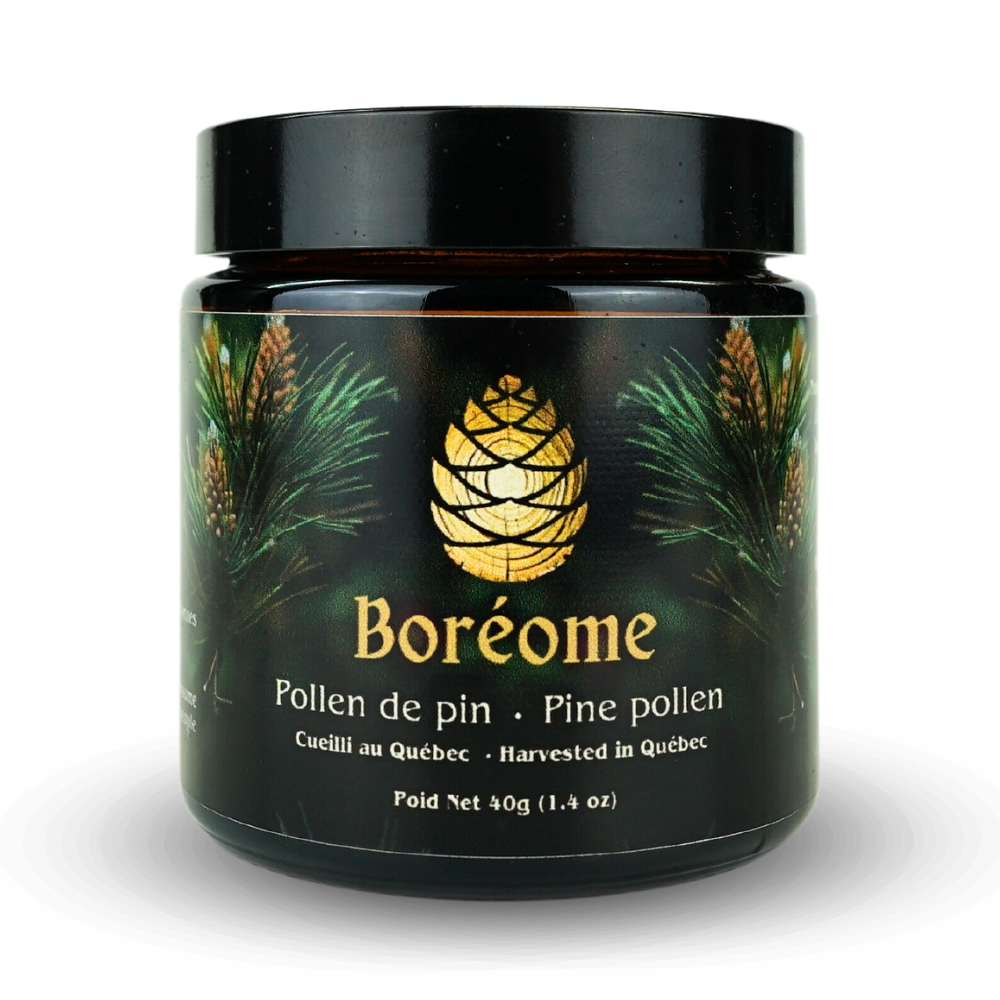 Premium Pine Pollen Powder - Natural Hormone Support | Quebec Wild Harvest | unprocessed
