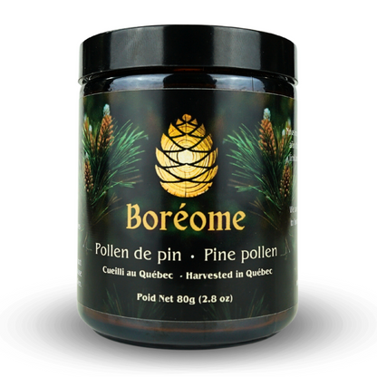 Jar of Quebec Pine Pollen Powder - Hormone Support | Wild Harvested | Pure Canadian Ingredients