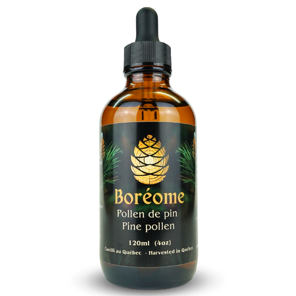 Pure potency pine pollen tincture bottle | Natural Hormone Support | Forest Harvested | Organic Ingredients