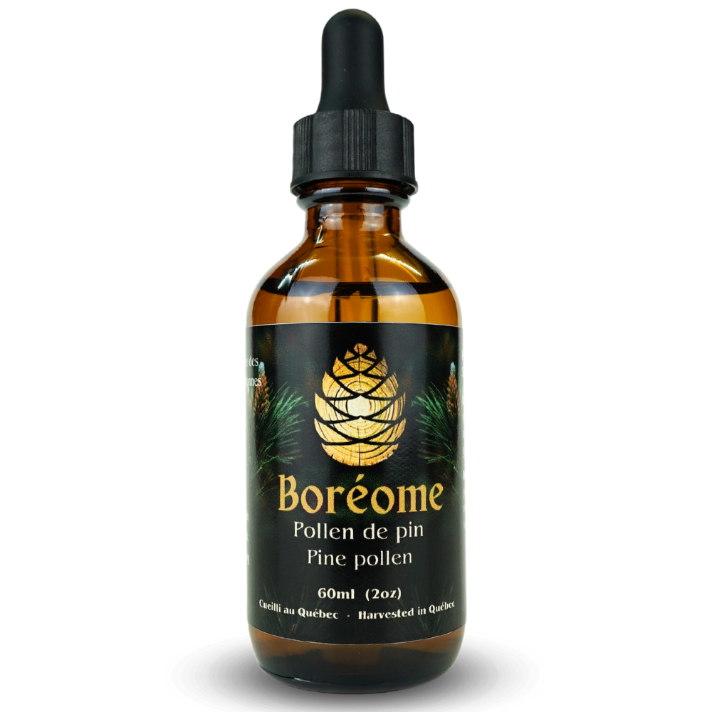 Hormone-Balancing Pine Pollen tincture bottle - Quebec Wild Harvest | Organic Ingredients