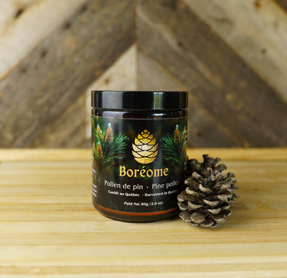 Jar of Boreome Premium Canadian Pine Pollen powder- Natural Hormone Support | Forest Harvested | Organic Ingredients