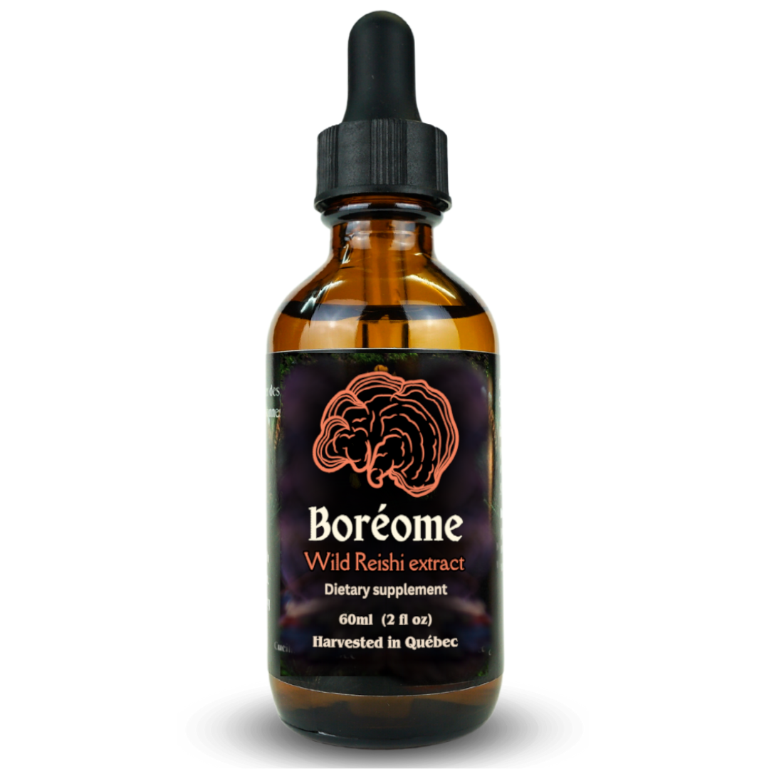 Wild Reishi extract 60ml