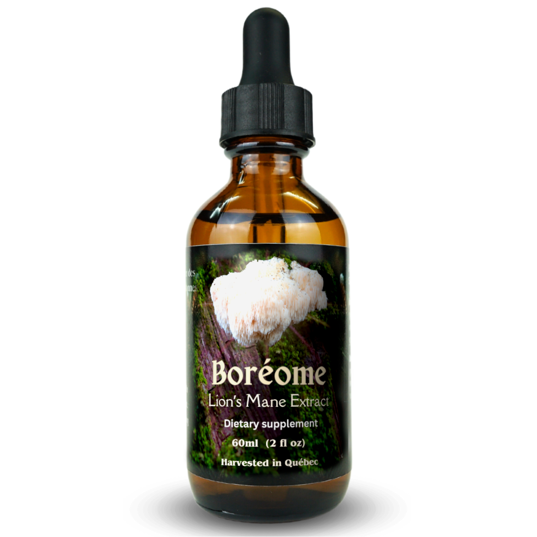 Lion's Mane Extract 60ml