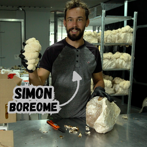 Person consuming pine pollen extract